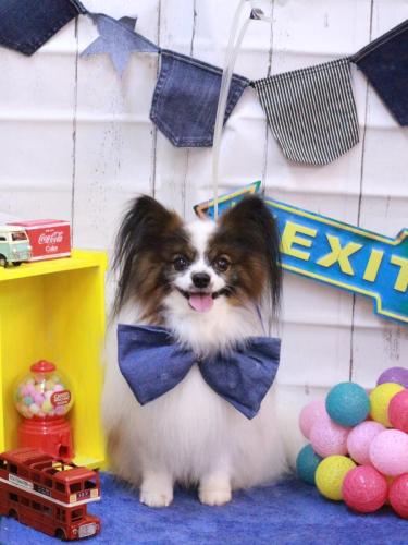 20230415空良くん